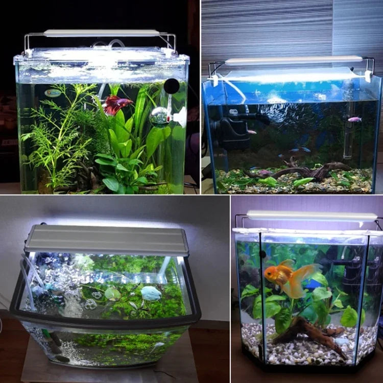 حوض سمك زجاجي XY-30K مع مصباح LED وحامل مائي، قابس أمريكي، XY-30K