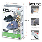 Remote Control Infrared Realistic RC Mouse Toy, Random Color Delivery, Mouse