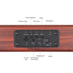 مكبر صوت بلوتوث محمول خشبي D10 4.2، D10 (ملمس خشب أحمر)