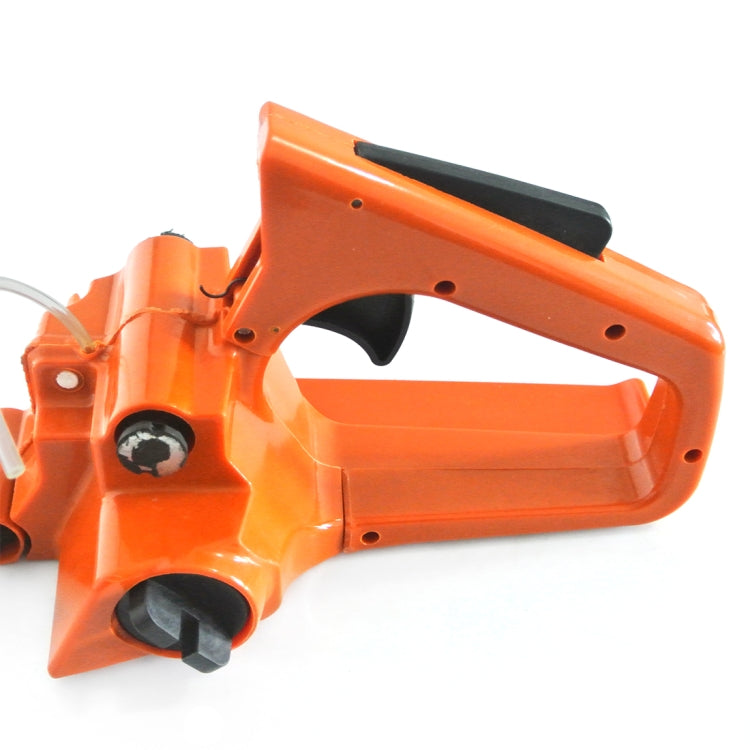 نص بديل للصورة