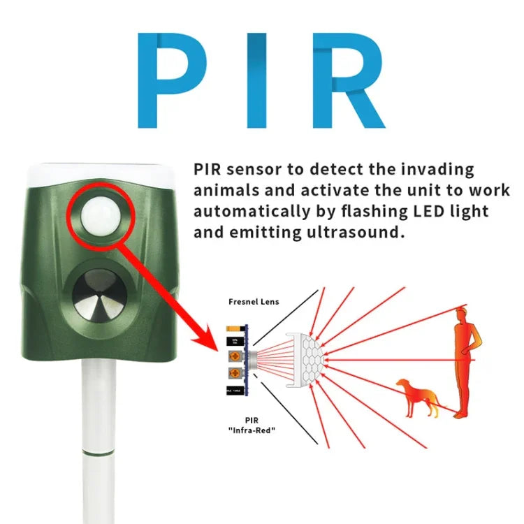 画像代替テキスト