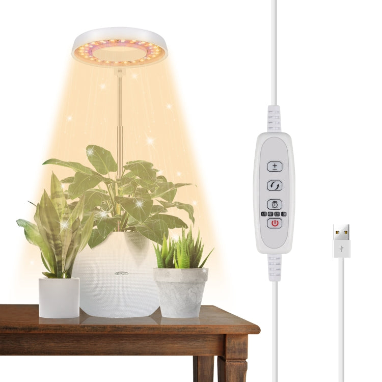 ضوء تعبئة لنمو نباتات العصارة بقوة 10 واط و48 مصباح LED، حلقة ملاك، نحلة، أنبوب دائري