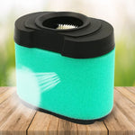 منظف فلتر هواء لـ Briggs & Stratton 792105 276890 4163205 4163206 44H777، لـ Briggs & Stratton 792105