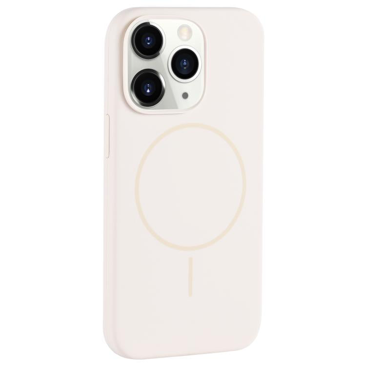 Large Hole Camera MagSafe Liquid Silicone Full Coverage Phone Case, For iPhone 11 Pro
