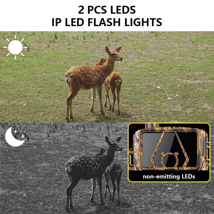 Image alt