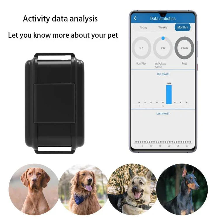 TK919 طوق كلب 4G مقاوم للماء IP67 محدد المواقع GPS