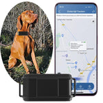TK919 طوق كلب 4G مقاوم للماء IP67 محدد المواقع GPS