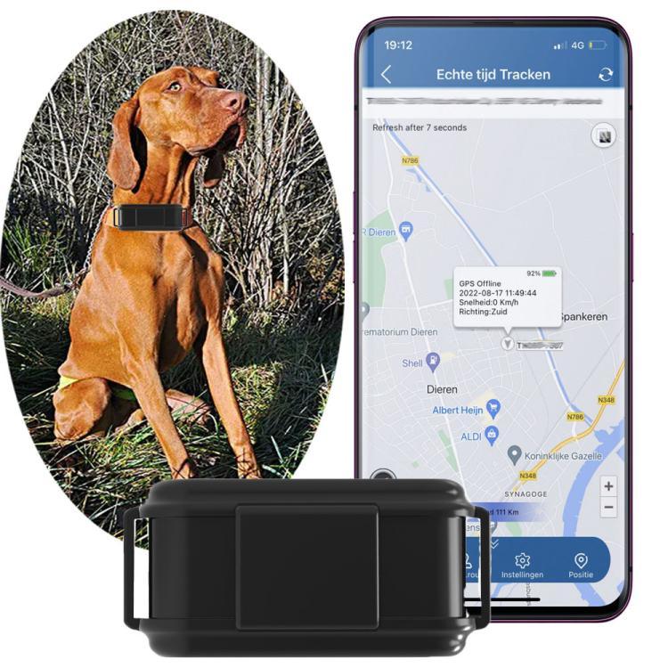 TK919 طوق كلب 4G مقاوم للماء IP67 محدد المواقع GPS
