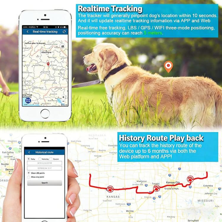 TK919 طوق كلب 4G مقاوم للماء IP67 محدد المواقع GPS