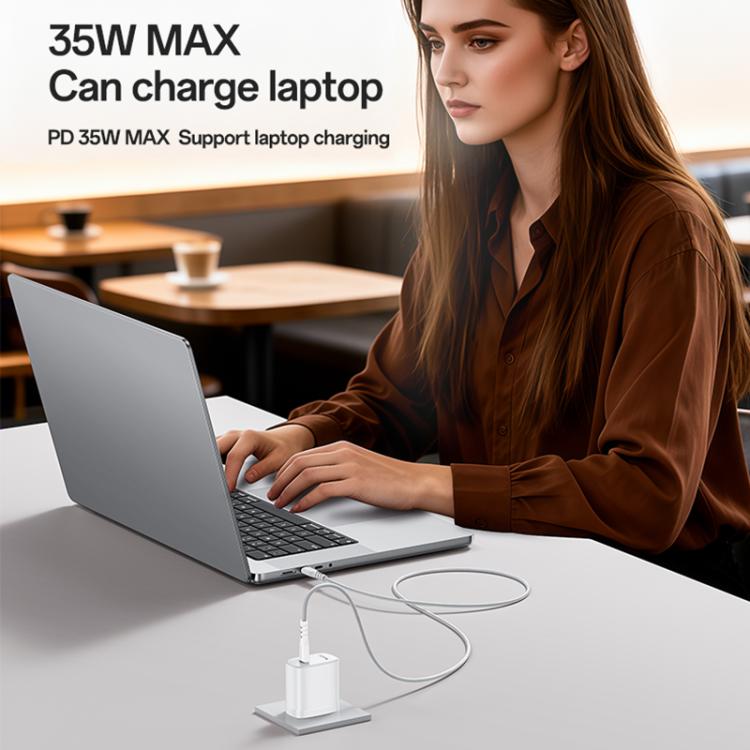 نص بديل للصورة