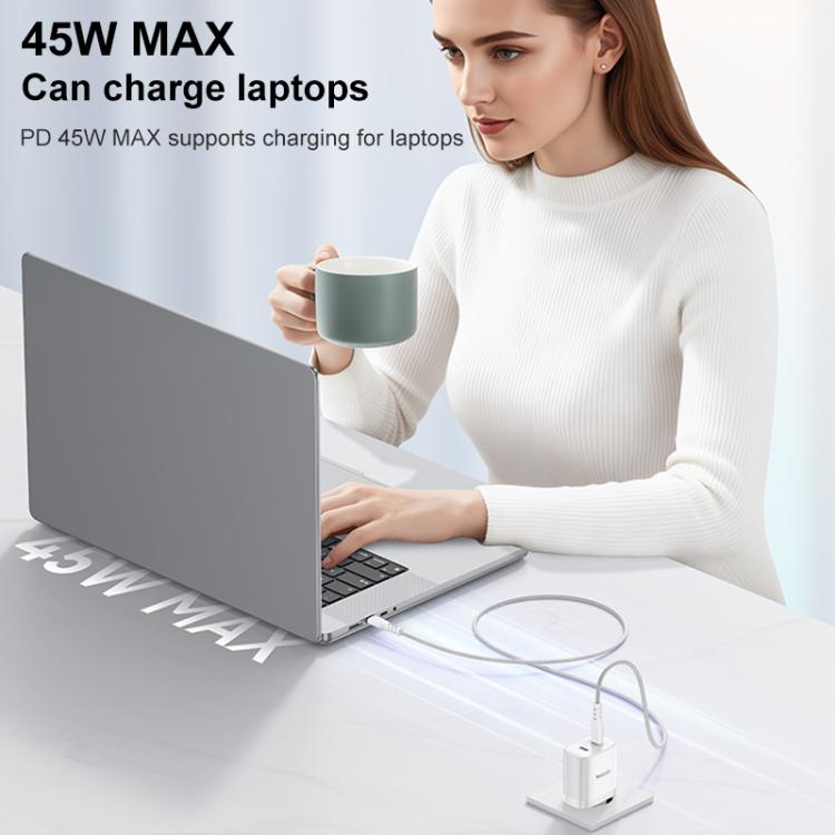 نص بديل للصورة