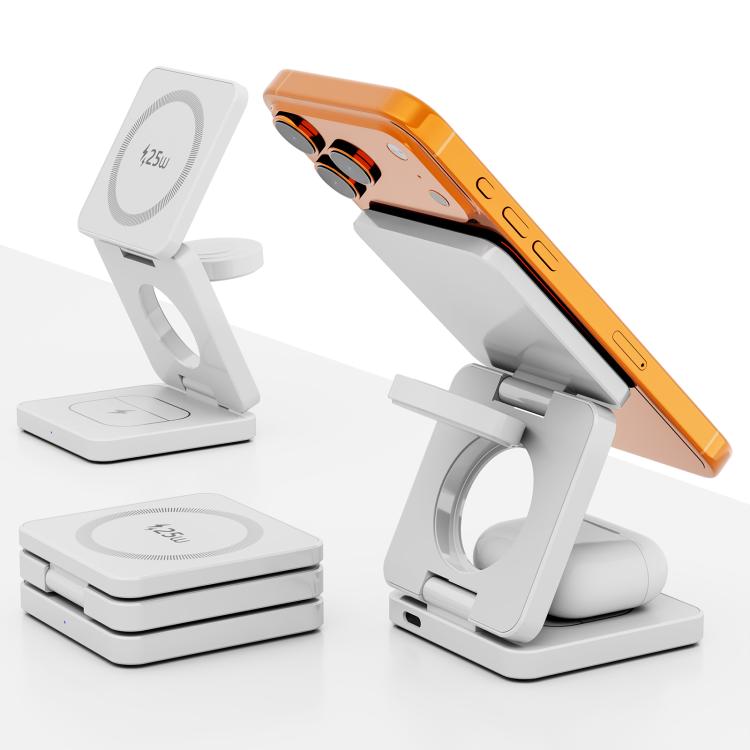 نص بديل للصورة