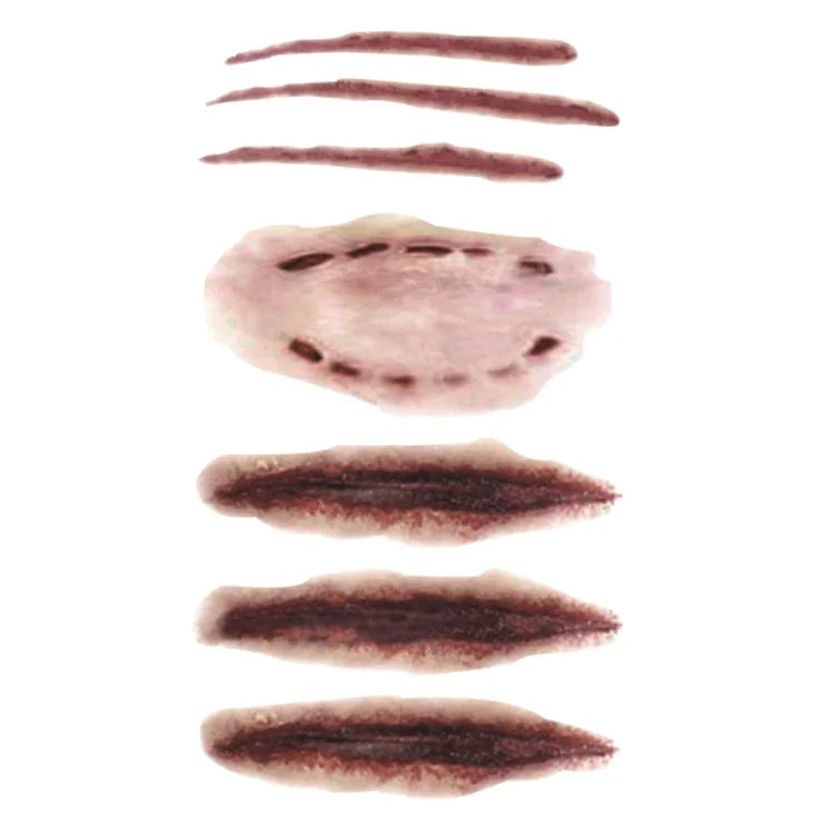 10 قطع S-250 وشم مؤقت لاصق خدوش جروح ندوب واقعية لهالوين رعب، S-250/10pcs