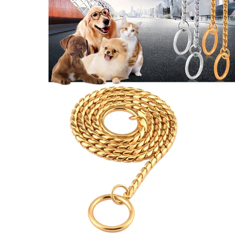Solid metal dog collar in gold, showcasing its stylish design with dogs and cats in the background.