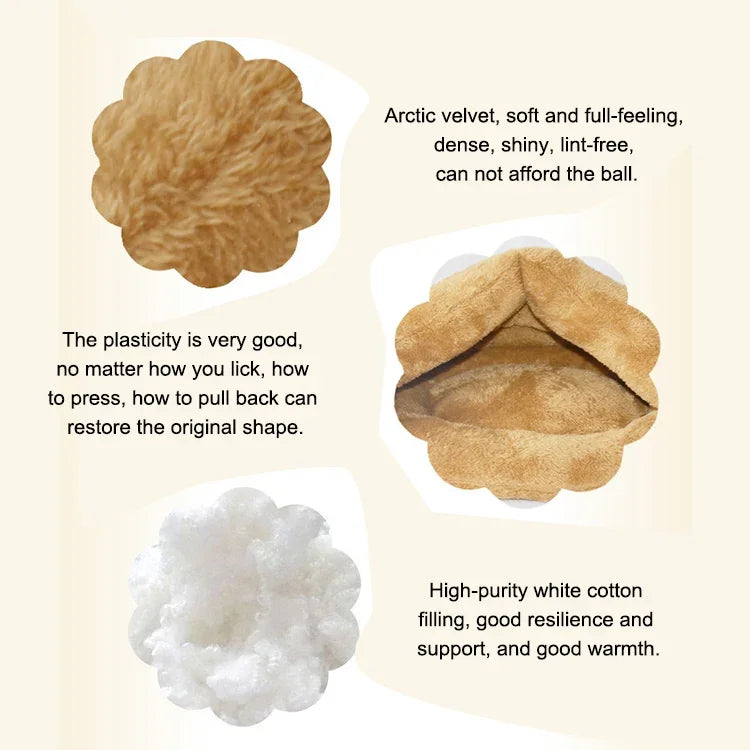 نص بديل للصورة