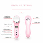 Multi-functional Household Beauty and Body Apparatus Facial Ion Importer
