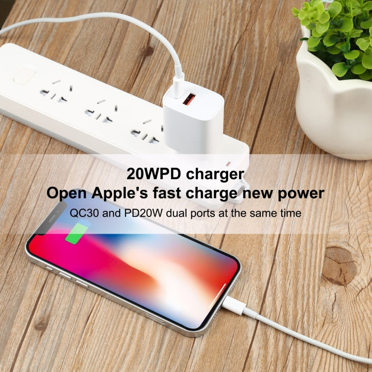 كابل بيانات شحن سريع USB-C / Type-C إلى 8 دبابيس بقوة 100 واط، الطول: 2 متر، 2 متر Type-C إلى 8 دبابيس