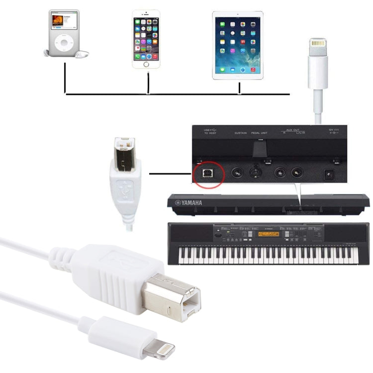 كابل بيانو / بيانو إلكتروني 1 متر 8 دبابيس إلى ذكر Type-B، كابل محول MIDI، 8 دبابيس