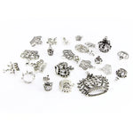 25 in 1 Tibetan Silver Bracelet Accessories Exquisite Crown Pendant Set