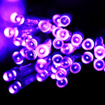 200 LED سلسلة ضوء شبكية مع وصلة نهائية وجهاز تحكم متعدد الوظائف، ضوء أبيض دافئ قابس الاتحاد الأوروبي، ضوء أزرق قابس الاتحاد الأوروبي، ضوء ملون قابس الاتحاد الأوروبي، ضوء بنفسجي قابس الاتحاد الأوروبي، ضوء أبيض قابس الاتحاد الأوروبي