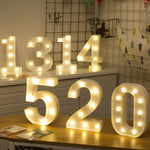 إضاءة عطلات دافئة بيضاء تعمل بالبطارية، للوقوف أو التعليق، LED6214A، LED6214B، LED6214C، LED6214D، LED6214E، LED6214F، LED6214G، LED6214H، LED6214J، LED6214K