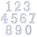 إضاءة عطلات دافئة بيضاء تعمل بالبطارية، للوقوف أو التعليق، LED6214A، LED6214B، LED6214C، LED6214D، LED6214E، LED6214F، LED6214G، LED6214H، LED6214J، LED6214K