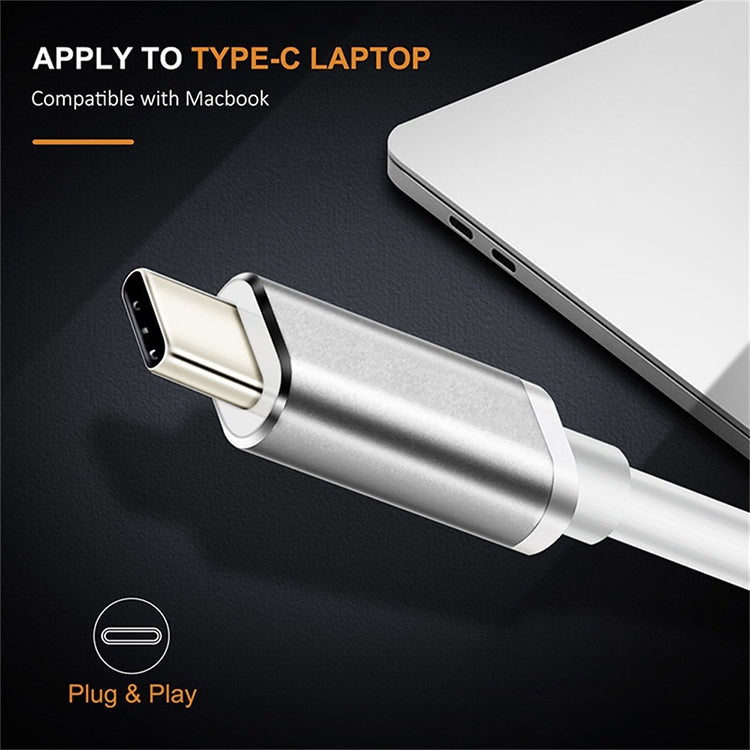 محول USB-C / Type-C 3.1 ذكر إلى DP أنثى عالي الدقة، الطول: 12 سم