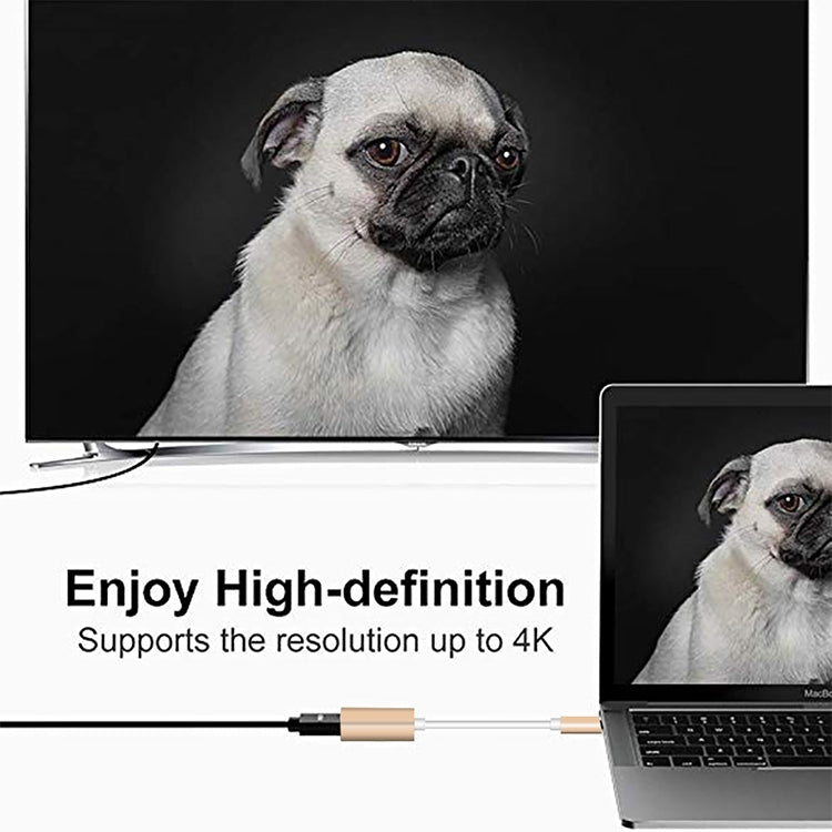 محول USB-C / Type-C 3.1 ذكر إلى Mini DP أنثى عالي الدقة، الطول: 12 سم، فضي، ذهبي