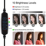 مجموعة PULUZ 4 في 1 لمعدات بث مباشر وتسجيل فيديو للهواتف الذكية مع ضوء سيلفي LED حلقي 4.7 بوصة 12 سم ومثبت مقبض ألومنيوم مع ميكروفون + حامل ترايبود + قاعدة ترايبود بارد لرأس الترايبود، مجموعة حامل ألومنيوم مع ضوء حلقي
