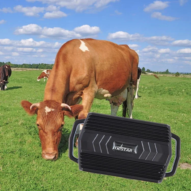 TKSTAR TK935 جهاز تعقب GPS مقاوم للماء بسعة بطارية 3000 مللي أمبير للحيوانات الأليفة والماشية والسيارات، TK935
