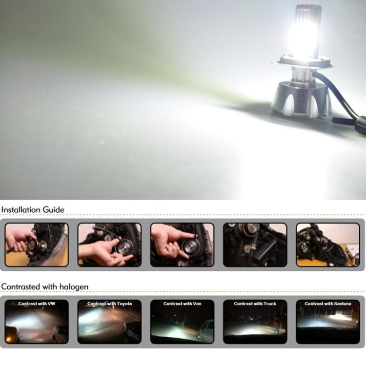 PEGASUS H1 Halogen Car Headlight Lamp, 1600 Lumens Warm White Light, 12V / 100W 5000K, H1