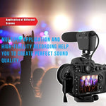 TAKSTAR SGC-598 Professional Photography Interview Dedicated Microphone for DSLR & DV Camcorder
