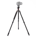 حامل ثلاثي الأرجل محمول قابل للتعديل من الألمنيوم Triopo MT-2504C مع رأس كروي NB-1S لكاميرات كانون نيكون سوني DSLR، MT-2504C (أسود)، MT-2504C (ذهبي)