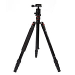 حامل ثلاثي الأرجل محمول قابل للتعديل من الألمنيوم Triopo MT-2504C مع رأس كروي NB-1S لكاميرات كانون نيكون سوني DSLR، MT-2504C (أسود)، MT-2504C (ذهبي)