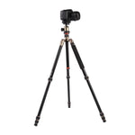 حامل ثلاثي الأرجل محمول قابل للتعديل من الألمنيوم Triopo MT-2504C مع رأس كروي NB-1S لكاميرات كانون نيكون سوني DSLR، MT-2504C (أسود)، MT-2504C (ذهبي)