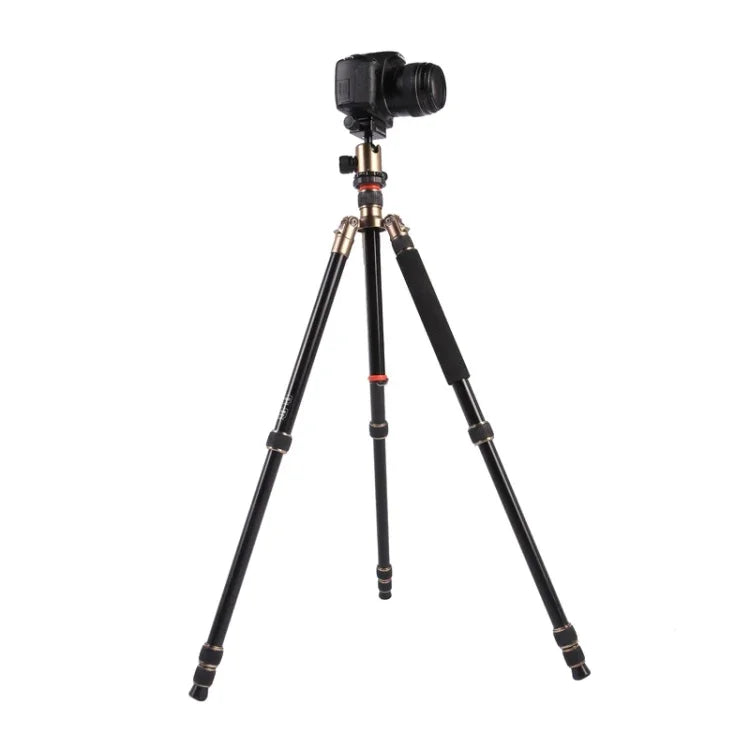 حامل ثلاثي الأرجل محمول قابل للتعديل من الألمنيوم Triopo MT-2504C مع رأس كروي NB-1S لكاميرات كانون نيكون سوني DSLR، MT-2504C (أسود)، MT-2504C (ذهبي)