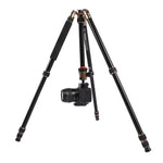 حامل ثلاثي الأرجل محمول قابل للتعديل من الألمنيوم Triopo MT-2504C مع رأس كروي NB-1S لكاميرات كانون نيكون سوني DSLR، MT-2504C (أسود)، MT-2504C (ذهبي)