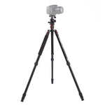 حامل ثلاثي الأرجل محمول قابل للتعديل من الألمنيوم Triopo MT-2504C مع رأس كروي NB-1S لكاميرات كانون نيكون سوني DSLR، MT-2504C (أسود)، MT-2504C (ذهبي)