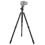 حامل ثلاثي الأرجل محمول قابل للتعديل من الألمنيوم Triopo MT-2804C مع رأس كروي NB-2S لكاميرات كانون نيكون سوني DSLR، MT-2804C (أسود)، MT-2804C (ذهبي)