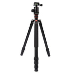 حامل ثلاثي الأرجل محمول قابل للتعديل من الألمنيوم Triopo MT-2804C مع رأس كروي NB-2S لكاميرات كانون نيكون سوني DSLR، MT-2804C (أسود)، MT-2804C (ذهبي)