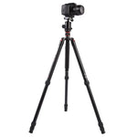 حامل ثلاثي الأرجل محمول قابل للتعديل من الألمنيوم Triopo MT-2804C مع رأس كروي NB-2S لكاميرات كانون نيكون سوني DSLR، MT-2804C (أسود)، MT-2804C (ذهبي)