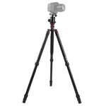 حامل ثلاثي الأرجل محمول قابل للتعديل من الألمنيوم Triopo MT-2804C مع رأس كروي NB-2S لكاميرات كانون نيكون سوني DSLR، MT-2804C (أسود)، MT-2804C (ذهبي)