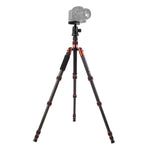 حامل ثلاثي الأرجل محمول قابل للتعديل من ألياف الكربون Triopo GT-2505x8.C مع رأس كروي من الألمنيوم B-1 لكاميرات كانون نيكون سوني DSLR، GT-2505x8.C (أسود)، GT-2505x8.C (ذهبي)
