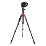 حامل ثلاثي الأرجل محمول قابل للتعديل من ألياف الكربون Triopo GT-2505x8.C مع رأس كروي من الألمنيوم B-1 لكاميرات كانون نيكون سوني DSLR، GT-2505x8.C (أسود)، GT-2505x8.C (ذهبي)
