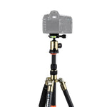 حامل ثلاثي الأرجل محمول قابل للتعديل من ألياف الكربون Triopo GT-2505x8.C مع رأس كروي من الألمنيوم B-1 لكاميرات كانون نيكون سوني DSLR، GT-2505x8.C (أسود)، GT-2505x8.C (ذهبي)