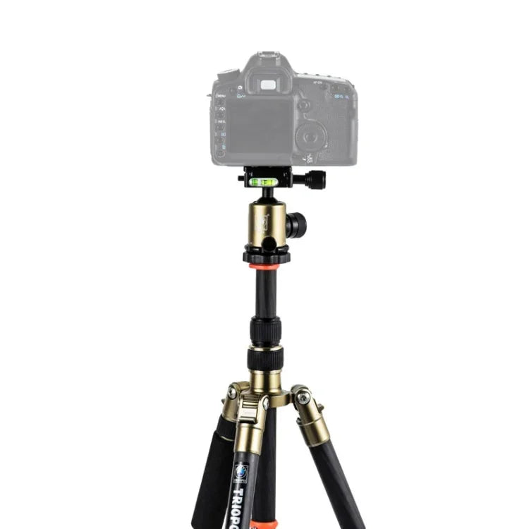 حامل ثلاثي الأرجل محمول قابل للتعديل من ألياف الكربون Triopo GT-2505x8.C مع رأس كروي من الألمنيوم B-1 لكاميرات كانون نيكون سوني DSLR، GT-2505x8.C (أسود)، GT-2505x8.C (ذهبي)