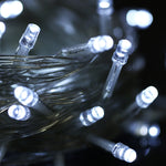 ضوء مكون من 100 LED مع وحدة تحكم، تأثير وميض / تلاشي / مطاردة، تيار متردد 220 فولت، قابس الاتحاد الأوروبي، ضوء أخضر، ضوء أبيض، ضوء أحمر، ضوء برتقالي، ضوء أزرق، ضوء وردي، ضوء بنفسجي، ضوء أصفر