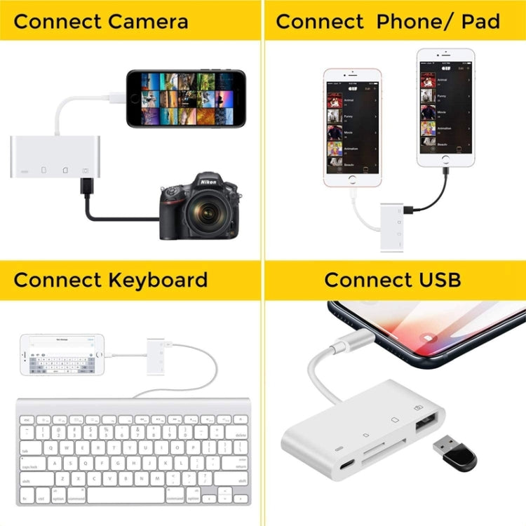 محول قارئ كاميرا ZS-S1827 4 في 1 لبطاقات SD + TF + شحن 8 دبابيس + واجهة USB إلى واجهة 8 دبابيس، يدعم جميع أنظمة iOS