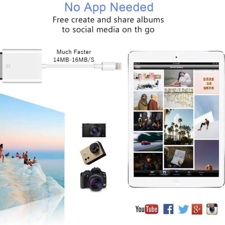 محول قارئ بطاقات كاميرا من 8 دبابيس إلى بطاقة SD، يدعم جميع أنظمة iOS، مع فتحة بطاقة SD ZS-KL21810