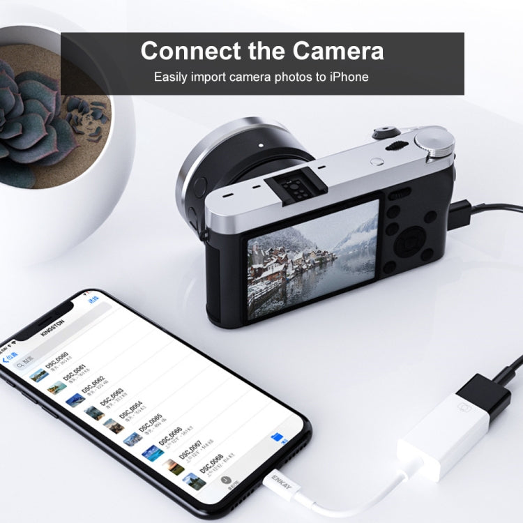 محول بيانات ENKAY ENK-AT108 من 8 دبابيس إلى USB 3.0 OTG لهواتف iPhone / iPad